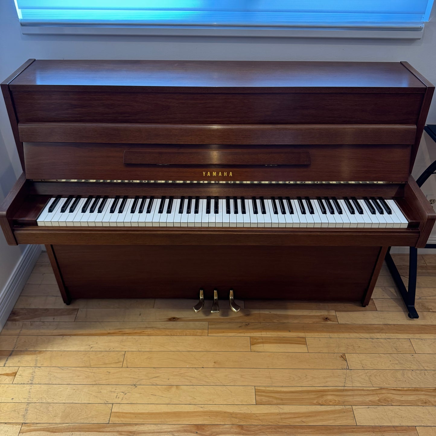 Yamaha droit modèle M1 (41")