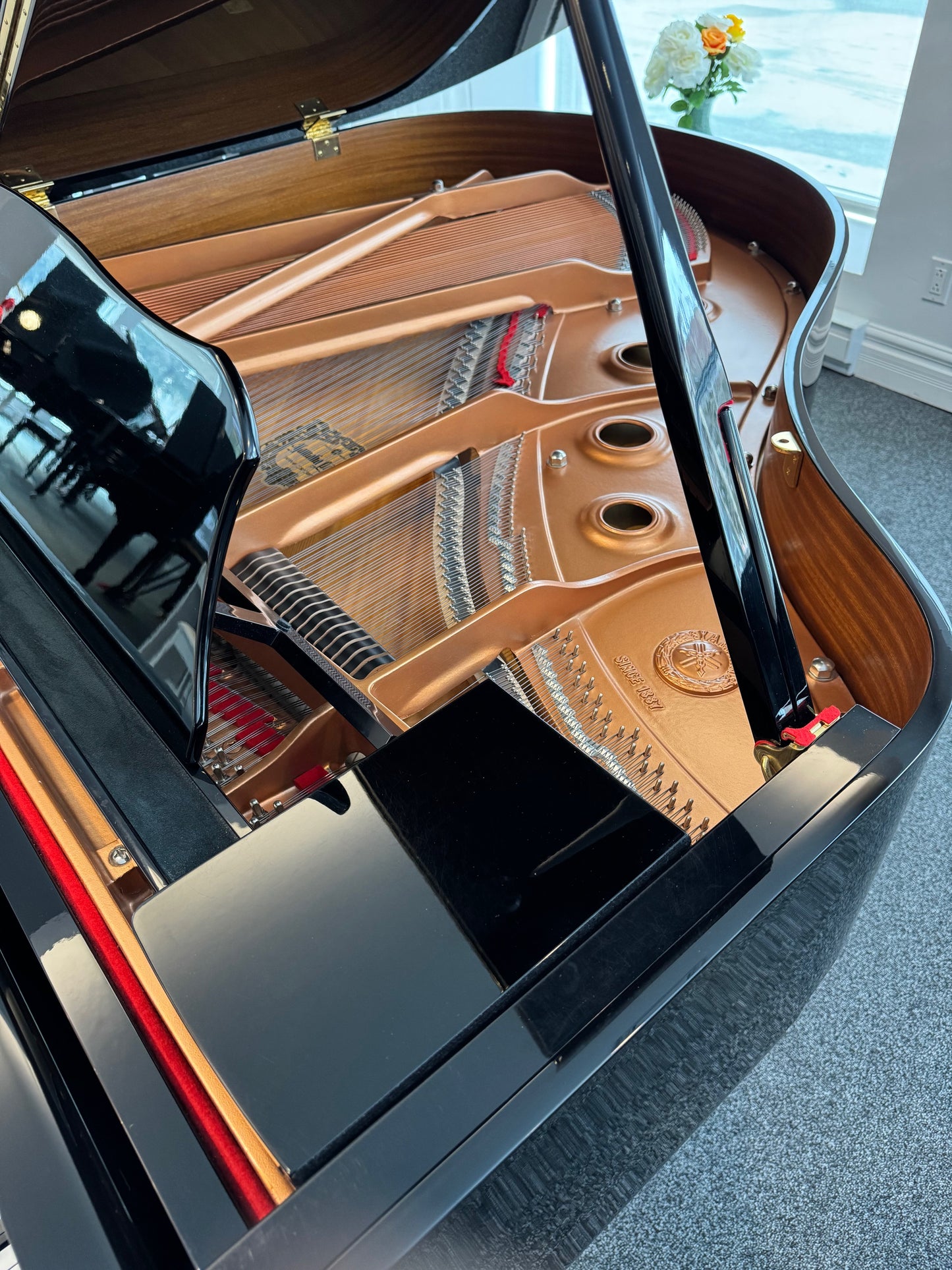 Yamaha modèle GC1 - 5' 3" (152cm)